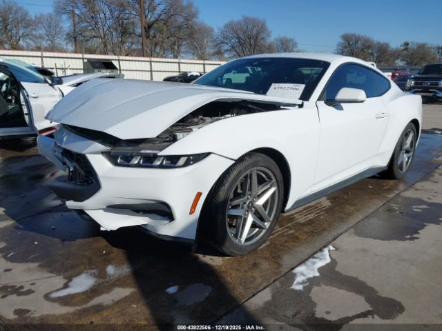Nuotrauka 2 iš 4